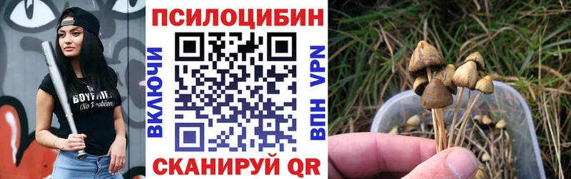 Купить где Данилов Галлюциногенные грибы MAGIC MUSHROOMS