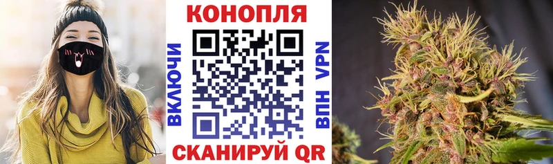 Шишки марихуана Ganja  Купить где  Данилов 